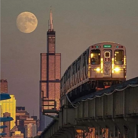 Meet your Posher, Reese - Picture 7 of 8